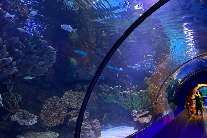 Antalya Aquarium and Face to Face Wax Museum Private Transfer - The Transfer Setup: How Pickup Works and What to Expect