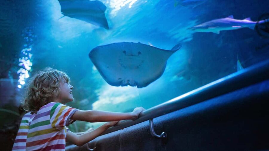 Antalya: Aquarium and Old Town Guided Tour - A 4-Hour Mix of Gold Shopping and the World’s Longest Aquarium Tunnel