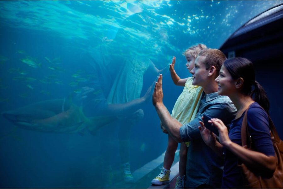Antalya: Aquarium and Wax Museum Entry Ticket - The Antalya Aquarium Sea Tunnel: Your Record-Breaking Walkway
