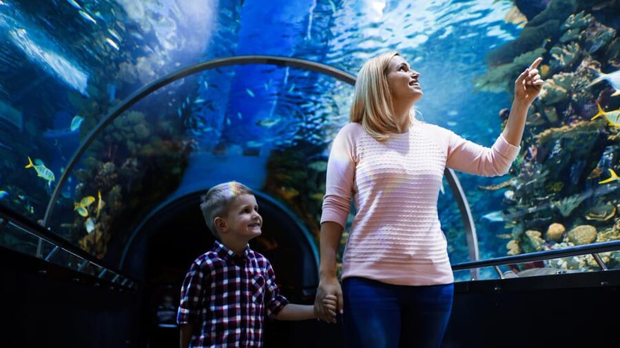 Antalya: Aquarium and Wax Museum Entry Ticket - Shipwrecks, a Sunken Airplane, and Other Big-Set Moments