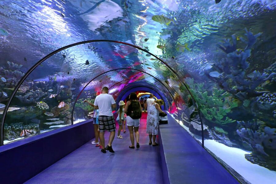 Antalya: Aquarium and Wax Museum Entry Ticket - When Shows Matter: Feeding Times and the XD Cinema Question