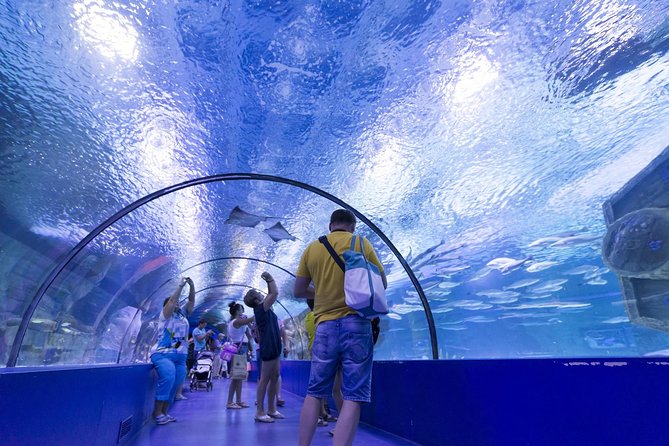 Antalya: Aquarium Ticket With Optional Transfer - Who This Works For (and Who Might Want Something Else)