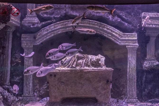 Antalya: Aquarium Ticket With Optional Transfer - Price and Value: Is $48.06 Worth It?