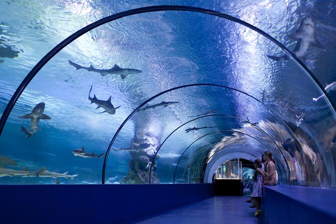 Antalya: Aquarium, Wax Museum & Combo Package Options - Snow World and Ice Museum: a colder contrast inside Antalya