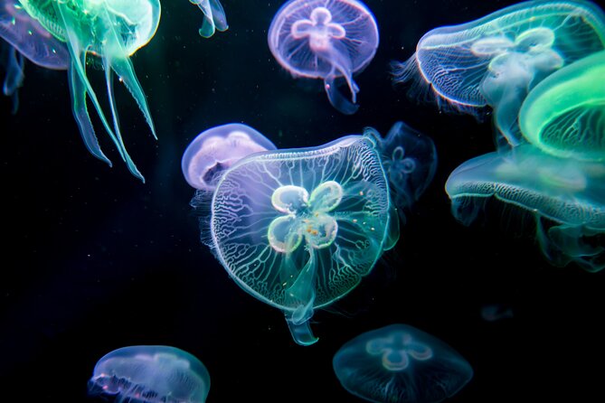 Antalya: Aquarium, Wax Museum & Combo Package Options - How long this really takes, and how to pace it