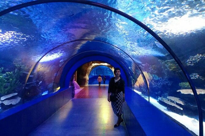 Antalya: Aquarium, Wax Museum & Combo Package Options - Lines and ticket practicality: mobile ticket, possible counter wait