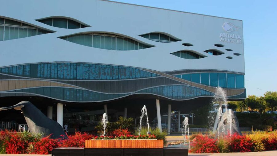 Antalya: Aquarium, Wax Museum, Snow World, Wild Park - Key Things You’ll Actually Notice