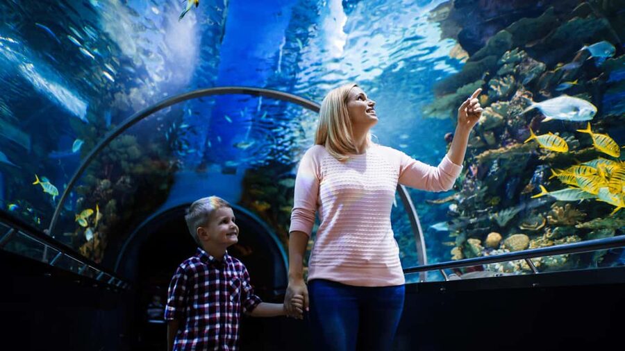 Antalya: Aquarium, Wax Museum, Snow World, Wild Park - A One-Day Circuit of Antalya’s Aquarium, Snow, and Wildlife Fun