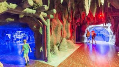 Aquarium, Wax Museum, Snow World, Wild Park