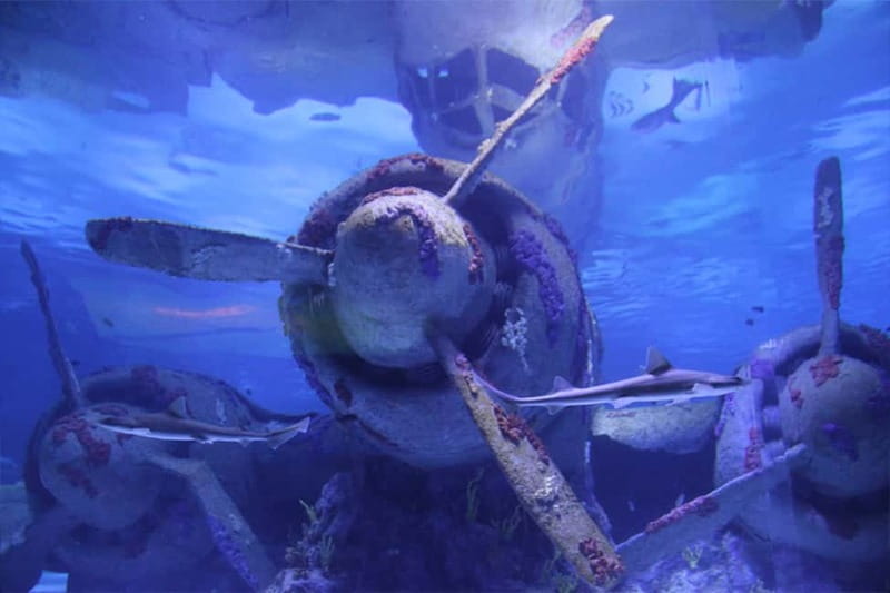 Antalya: Aquarium, Wax Museum, Snow World, Wild Park - Snow World and the Ice Museum: Real Snow in a Warm City