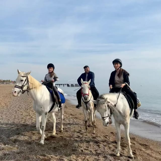 Antalya : Belek , Kundu , Horse Riding - VIP hotel pickup to the horse ranch, and the Lara Beach transit