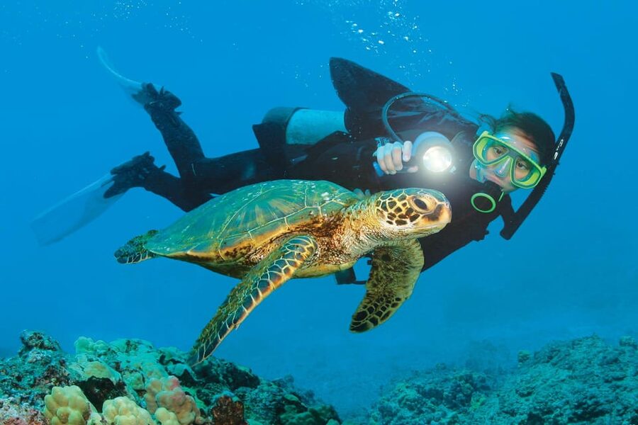 Antalya/ Belek Scuba Diving Tour With 2 Time Dive & Lunch - Who This Tour Fits Best (And Who Should Skip It)