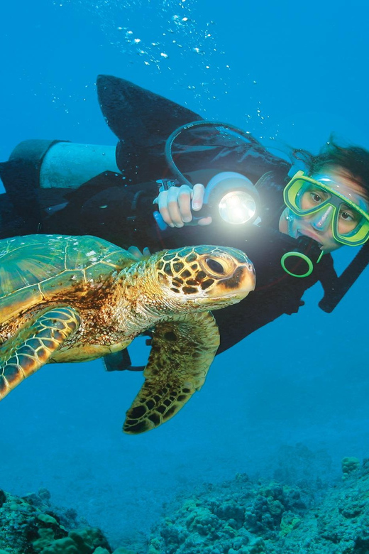Antalya/ Belek Scuba Diving Tour With 2 Time Dive & Lunch - Antalya and Belek’s Underwater World, With Training That Makes Sense