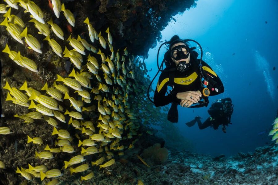 Antalya/ Belek Scuba Diving Tour With 2 Time Dive & Lunch - What the Boat Day Feels Like Between Sessions