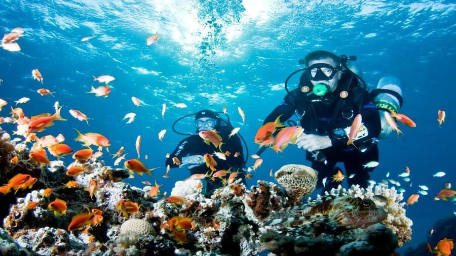 Antalya/ Belek Scuba Diving Tour With 2 Time Dive & Lunch - How Pickup, Guides, and Included Gear Remove Stress