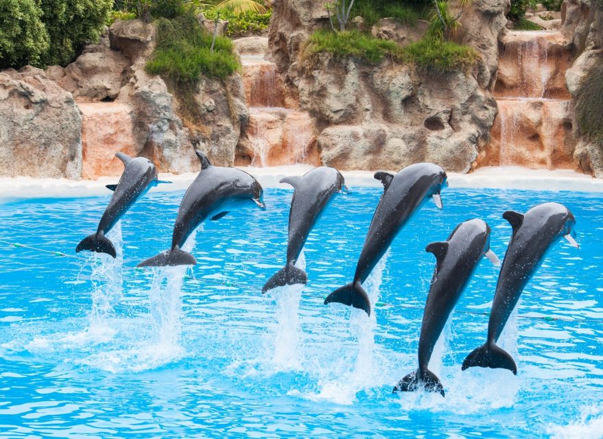 Antalya/Belek: The Land of Legends Theme Park with Transfer - FAQ