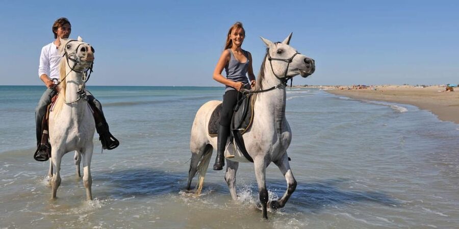Antalya: Guided ATV and Horse Riding Safari in Lara - Price and Value: Why $86 Can Make Sense, and When It Won’t