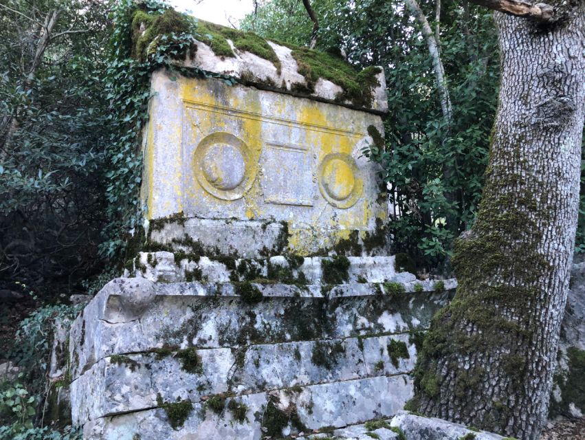Antalya: Hiking in Termessos Ancient City - Walking the ancient city plan: theatre, gymnasium, cisterns, and more