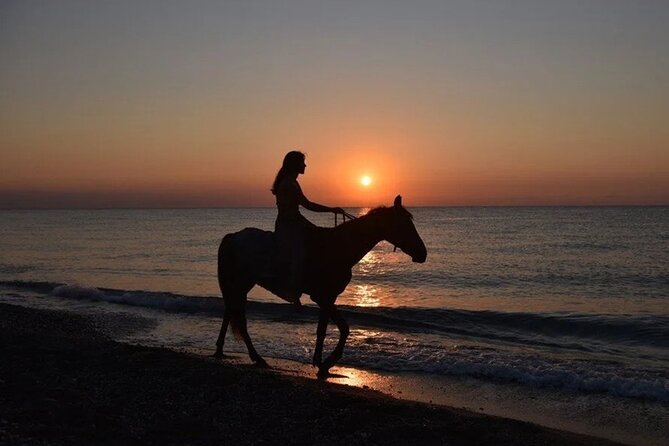 Antalya Horse Riding On Beach And Through The Forests For 2 Hours - Key Points You’ll Care About