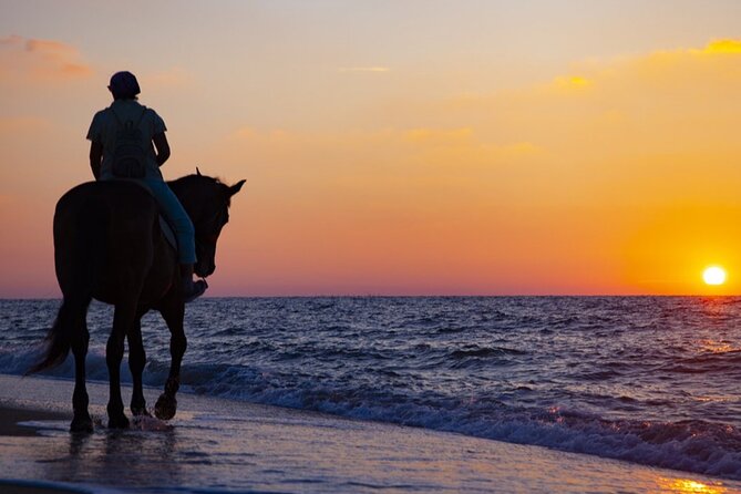 Antalya Horse Riding On Beach And Through The Forests For 2 Hours - Lara Beach to Pine Forest: The Hook of This Antalya Ride