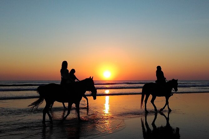 Antalya Horse Riding On Beach And Through The Forests For 2 Hours - Through the Pines: Where the Ride Gets Calmer