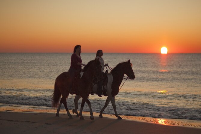 Antalya Horse Riding On Beach And Through The Forests For 2 Hours - Safety, Guides, and Equipment: What Included Gear Really Means