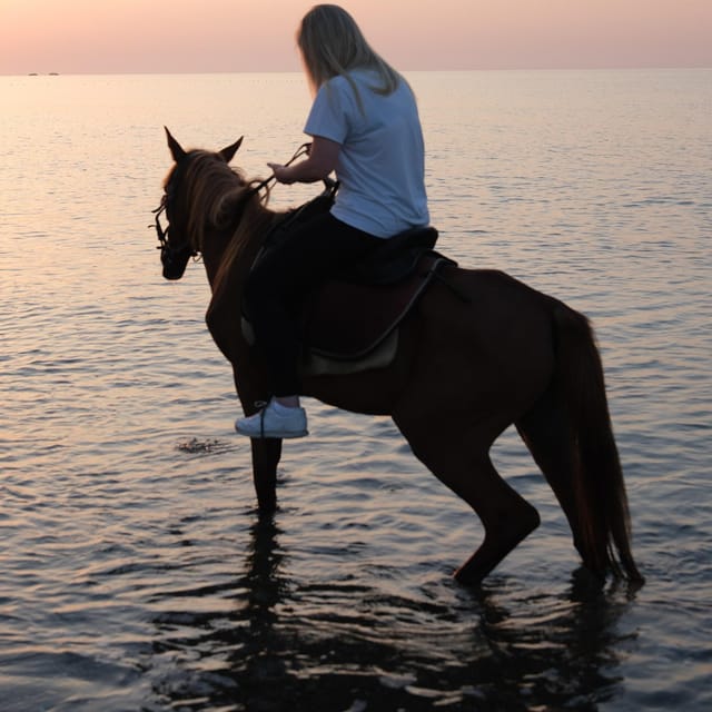 Antalya Horse Safari - Key Highlights to Know Before You Go