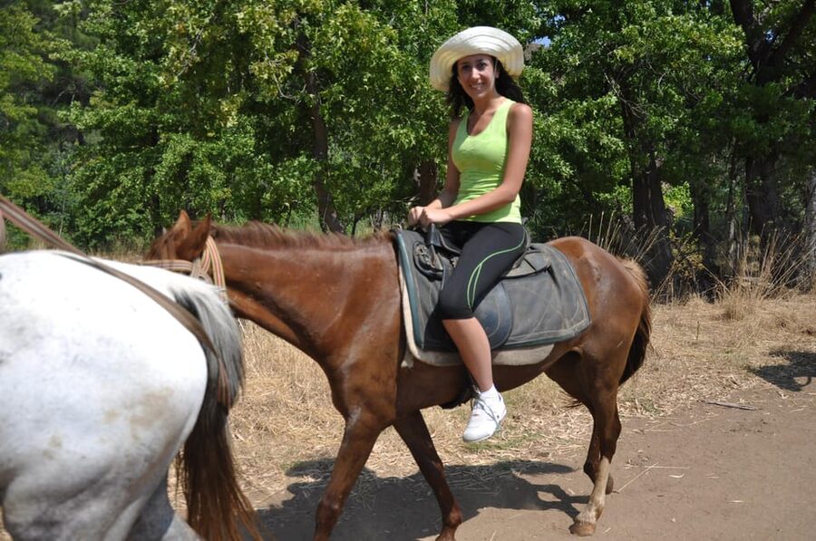 Antalya Horse Safari - Horses, Safety, and Who This Tour Fits Best