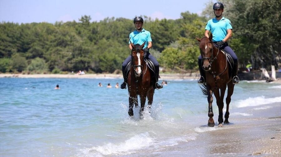 Antalya Horse Safari - The 1.5-Hour Flow: What You’ll Actually Do