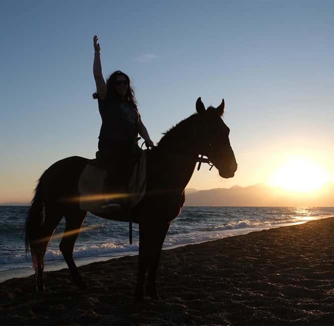 Antalya: Horseback Riding on the Beach and in the Forest - Lara Beach Riding: The 75-Minute Sea Moment You’ll Remember