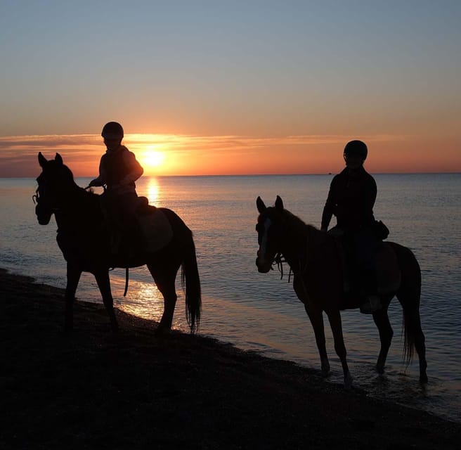 Antalya: Horseback Riding on the Beach and in the Forest - Forest, Green Area, Desert, and Sandy Options: How to Pick the Right Route Feel