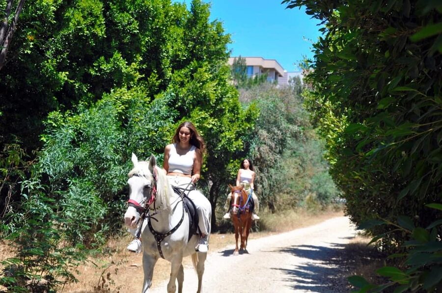 Antalya: Horseback Riding on the Beach and in the Forest - The Horses and the Pace: Calm Control for First-Timers