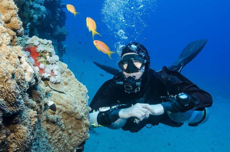 Antalya/Kemer: 2 Dives Scuba Diving Trip with Lunch - Key Highlights You’ll Actually Care About