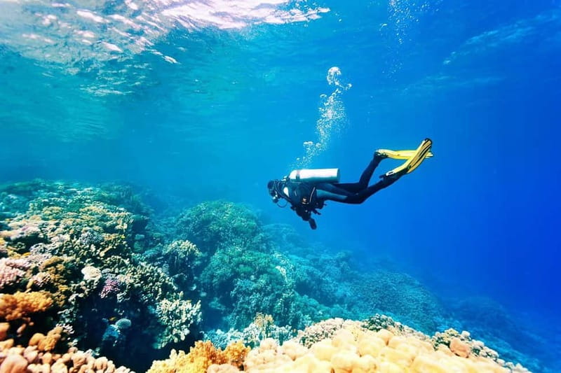 Antalya/Kemer: 2 Dives Scuba Diving Trip with Lunch - The 8-Hour Plan: From Cruise to Safety Briefing, Then Two Underwater Sessions