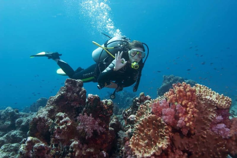 Antalya/Kemer: 2 Dives Scuba Diving Trip with Lunch - Time on the Water, Crowds, and Why Waiting Is Part of the Deal
