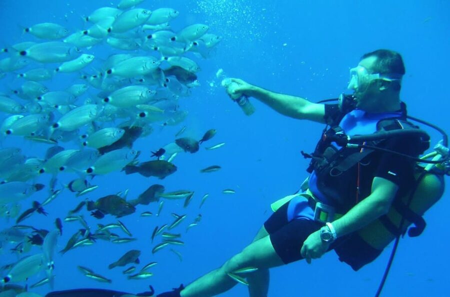 Antalya/ Kemer/ Belek Scuba Diving With Lunch & Transfer - Key things I’d lock in before you go