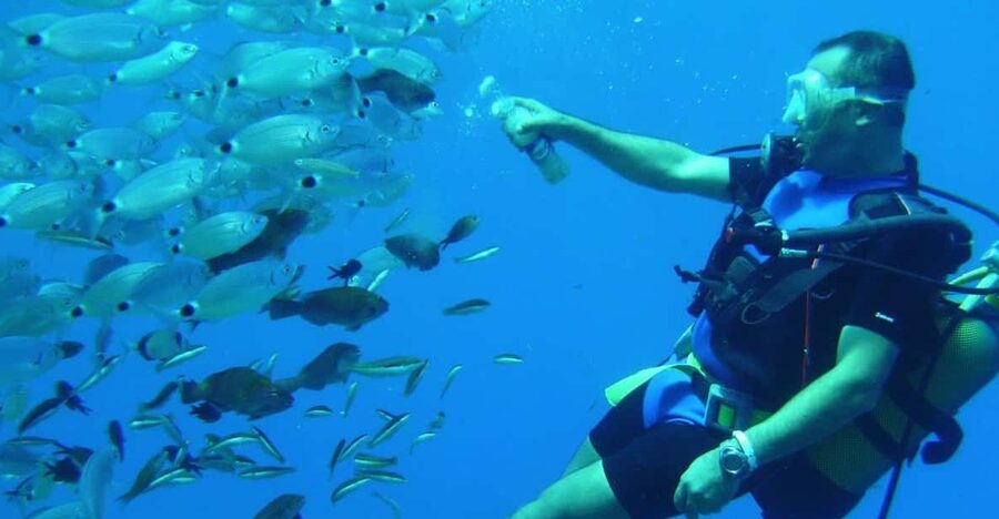 Antalya/ Kemer/ Belek Scuba Diving With Lunch & Transfer - Training and Safety Briefing: What to Expect Before You Go Under
