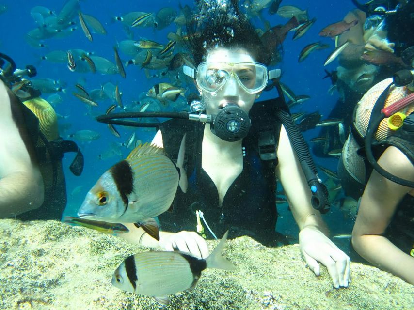Antalya/Kemer: Scuba Diving Experience with Lunch & Pick up - Key things you’ll notice on this Kemer scuba day