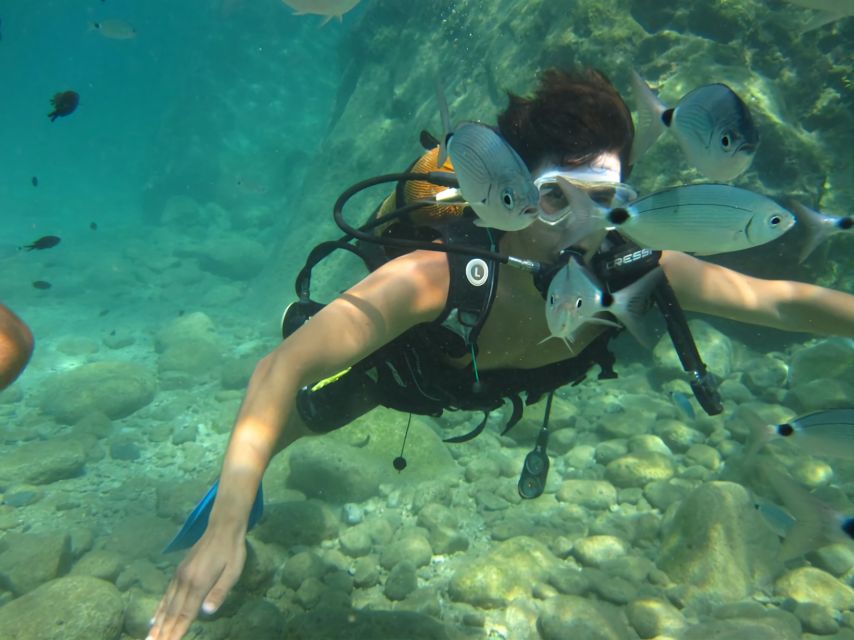 Antalya/Kemer: Scuba Diving Experience with Lunch & Pick up - Pickup, Boat Time, and How the Day Flows
