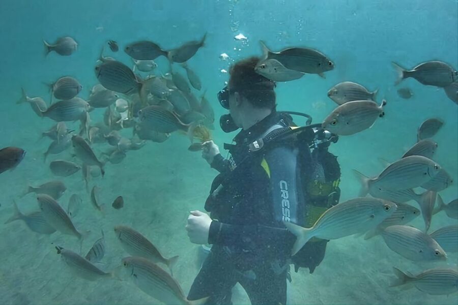 Antalya/Kemer: Scuba Diving Experience with Lunch & Pick up - Aquarium Bay First Water Session (about 5 meters)
