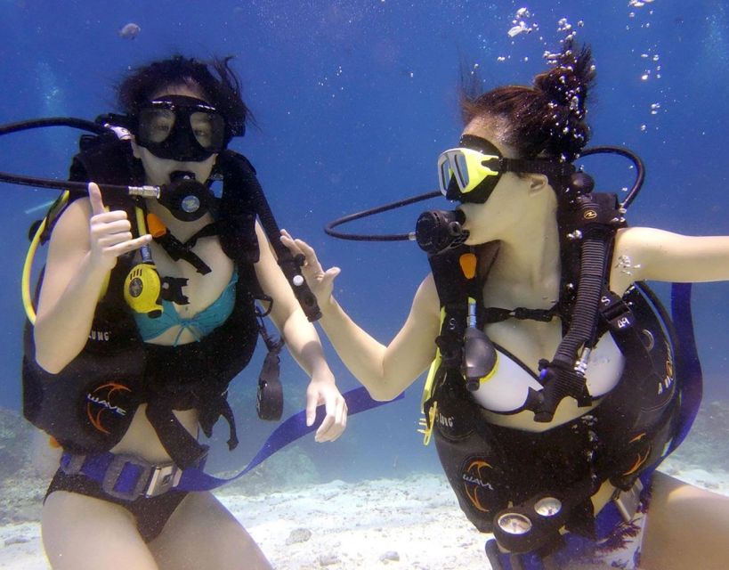 Antalya/Kemer: Scuba Diving with Pickup, Lunch, and 2 Dives - Key points before you go
