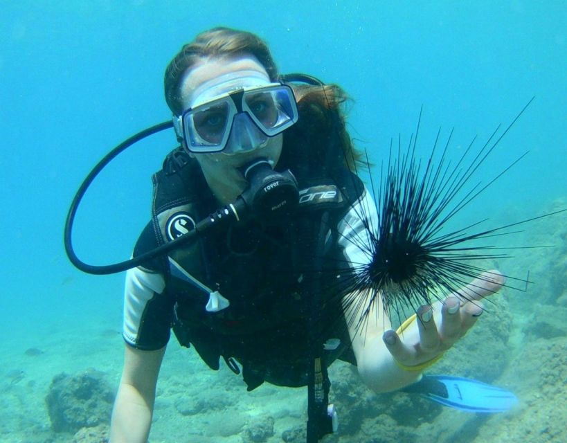 Antalya/Kemer: Scuba Diving with Pickup, Lunch, and 2 Dives - Non-scuba companions: relaxing on deck and swimming spots