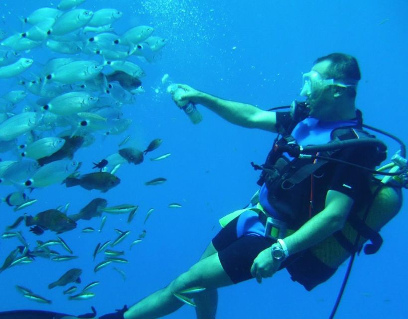 Antalya/Kemer: Scuba Diving with Pickup, Lunch, and 2 Dives - Who should book, and who should skip this water day