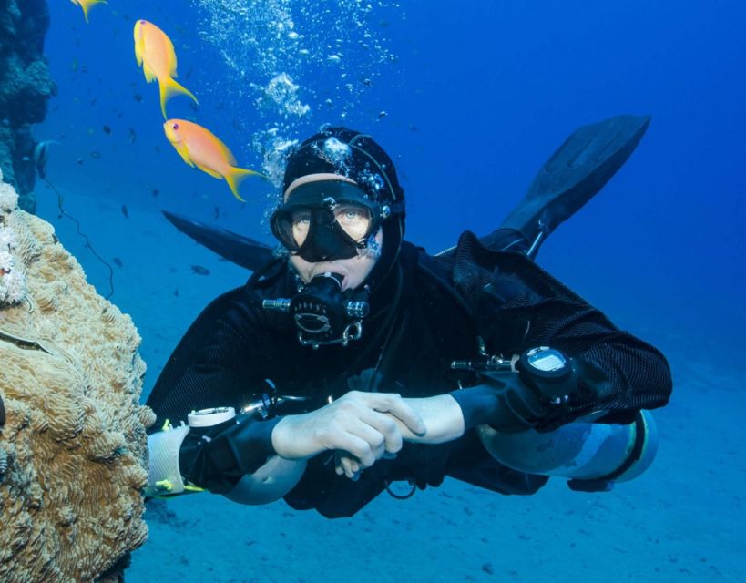 Antalya/Kemer: Scuba Diving with Pickup, Lunch, and 2 Dives - Weather and timing changes: winter swaps and on-the-day adjustments