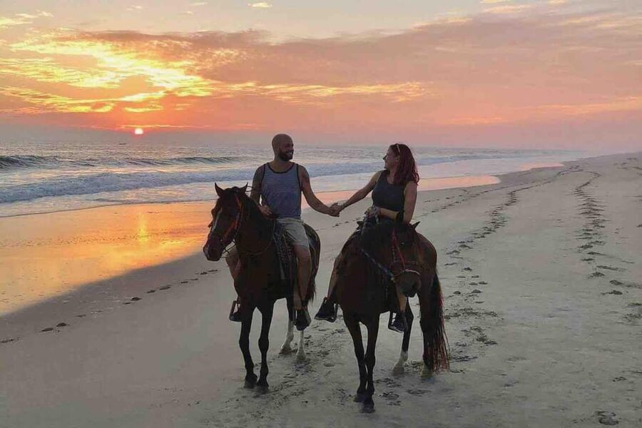 Antalya: Lara Beach & Forrest Horse Riding Safari - Quick hits