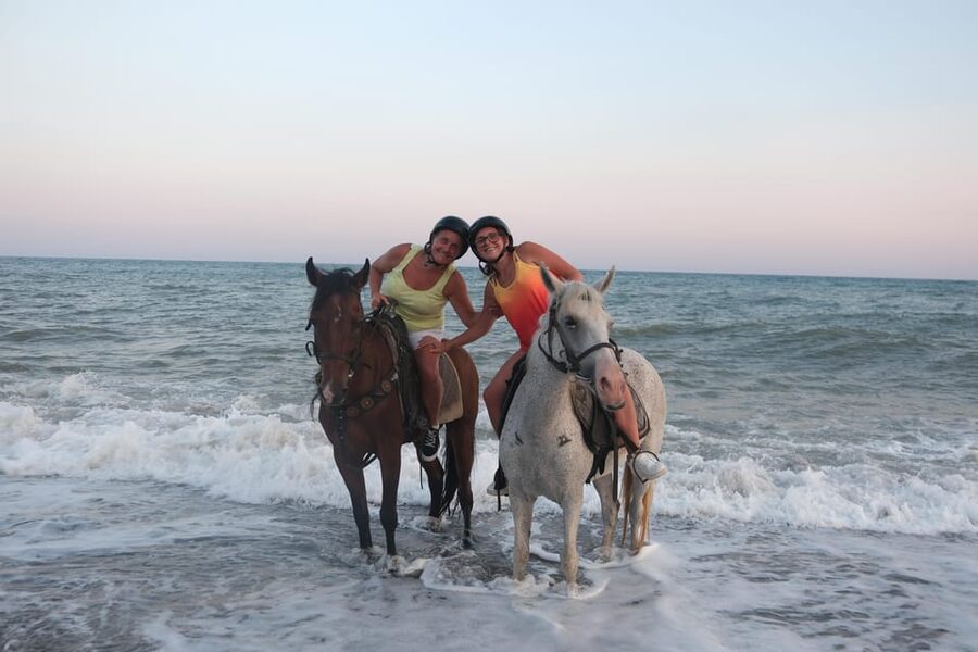 Antalya: Lara Beach & Forrest Horse Riding Safari - Forest-then-Beach timing that actually makes sense