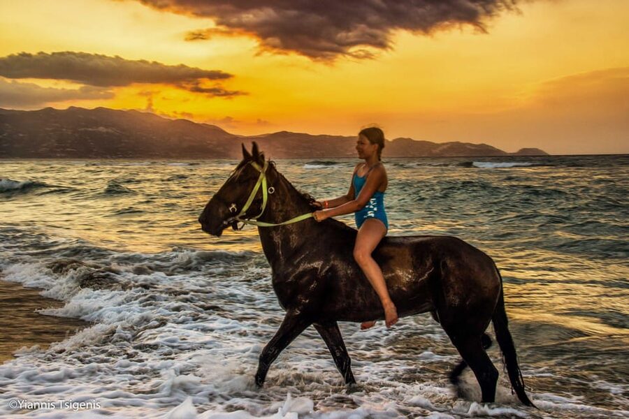 Antalya: Lara Beach & Forrest Horse Riding Safari - The forest ride: shade, breathing room, and an easy first “feel”
