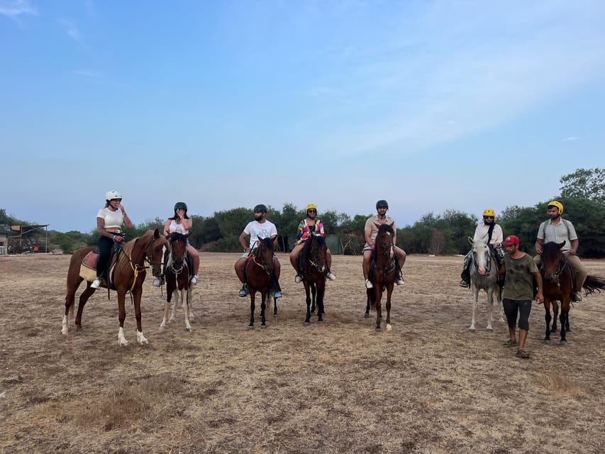 Antalya: Lara Beach & Forrest Horse Riding Safari - Horses and instructors: how safety and coaching actually work