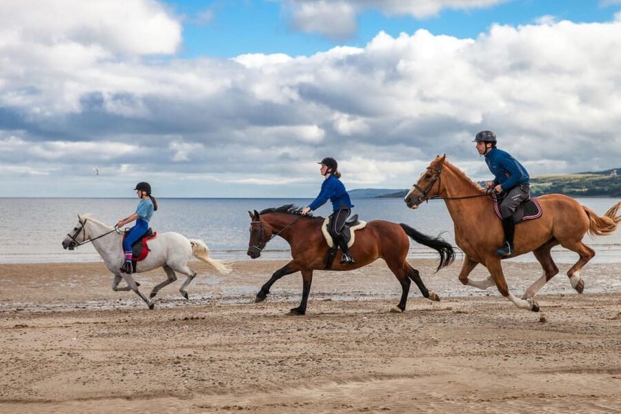 Antalya: Lara Beach & Forrest Horse Riding Safari - Value for money: what $58 buys you in the real world