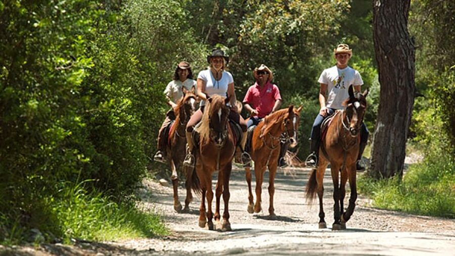 Antalya: Lara Beach & Forrest Horse Riding Safari - Group size and the feel: private or small groups